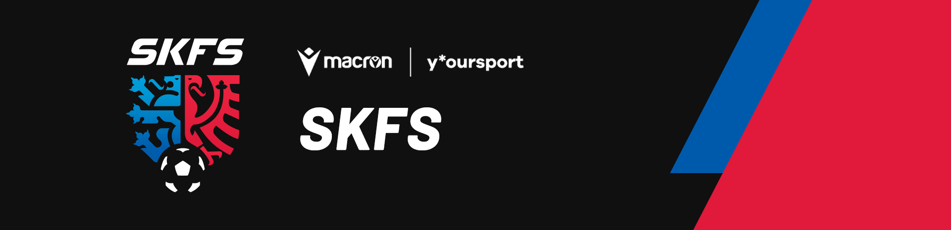 SKFS desktop